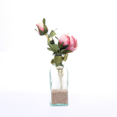 Vase Bouteille en Verre Transparent