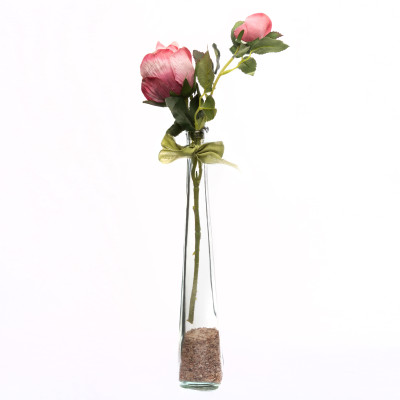 Vase Bouteille Élancé en Verre Transparent