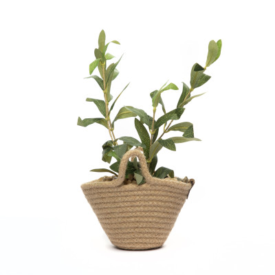 Plante Décorative en Panier Tressé Naturel