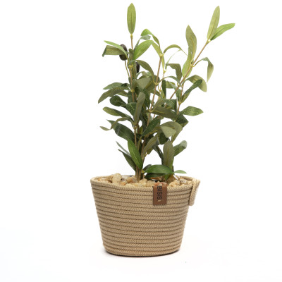 Plante d’Olivier Artificielle en Pot Tressé