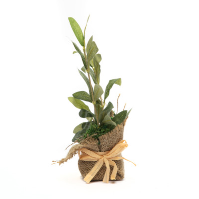 Plante Décorative en Pot en Toile